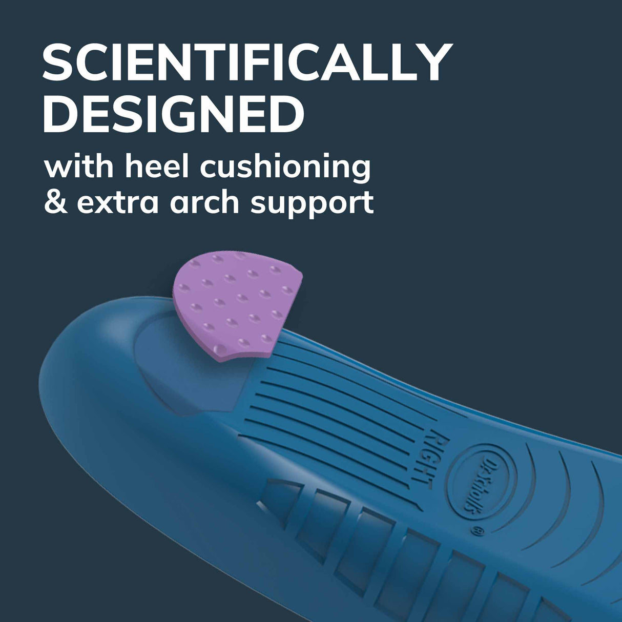 image of scientifically designed with heel cushioning and extra arch support
